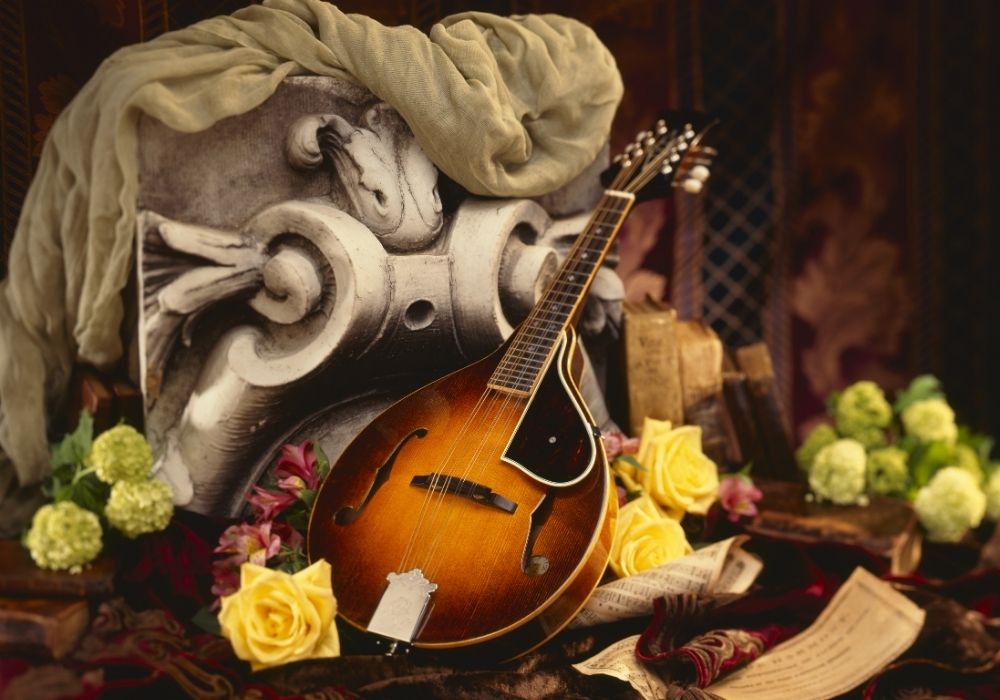 A beautiful mandolin musical instrument