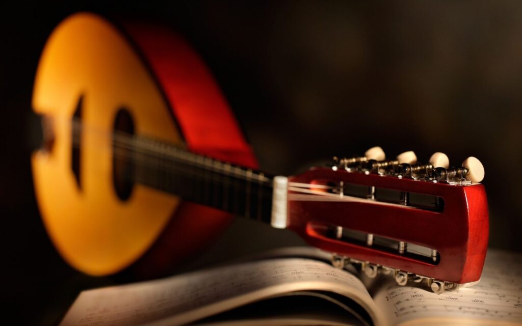 A close up mandolin instrument