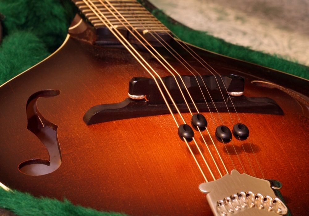 A close-up mandolin musical instrument