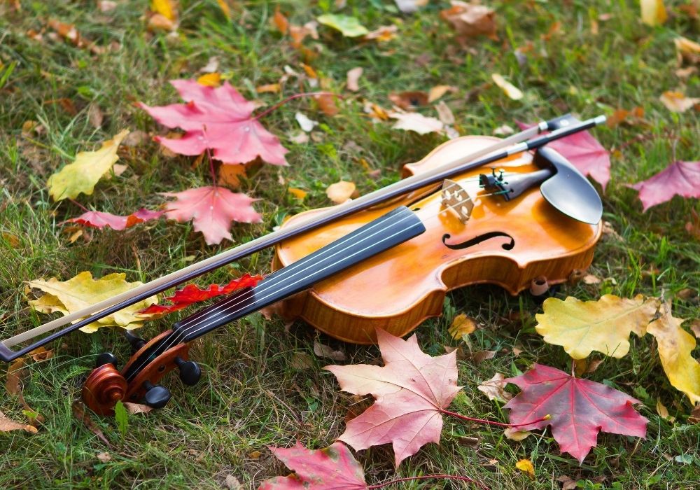 A set of violin on the ground
