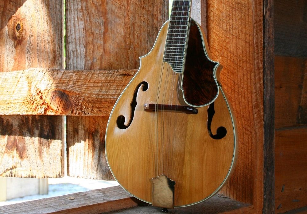 A beginner mandolin