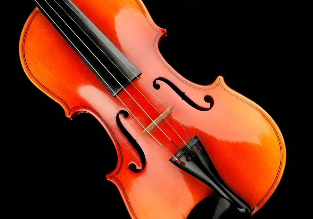 A close-up of violin for professionals