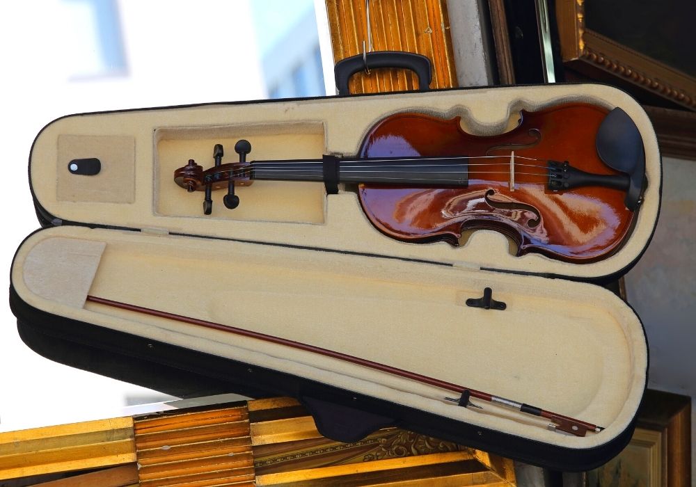 An intermediate violin in a box