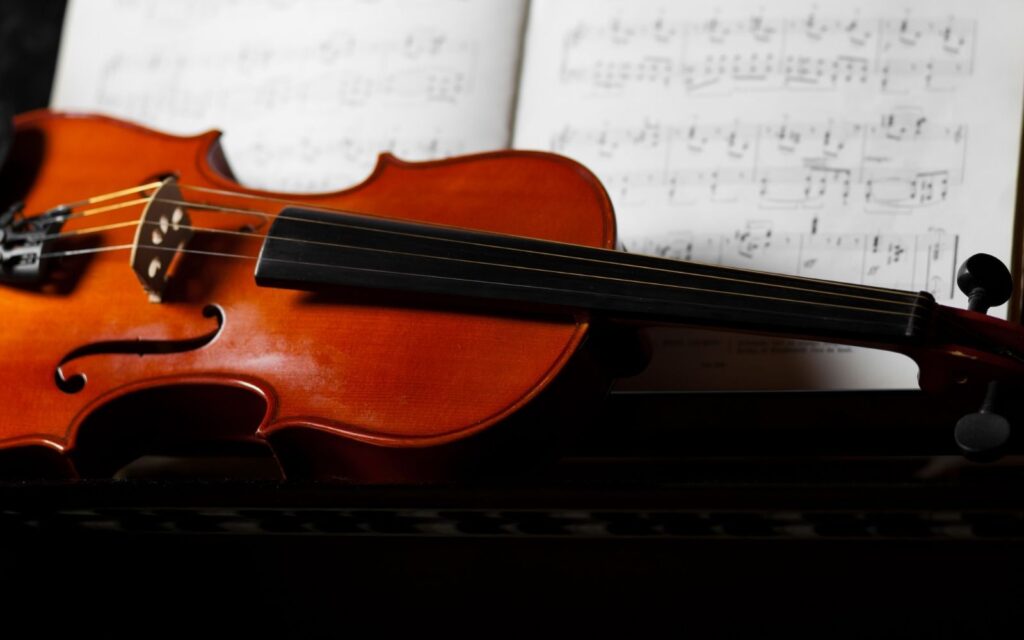 A close up of a viola musical instrument