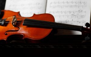 A close up of a viola musical instrument