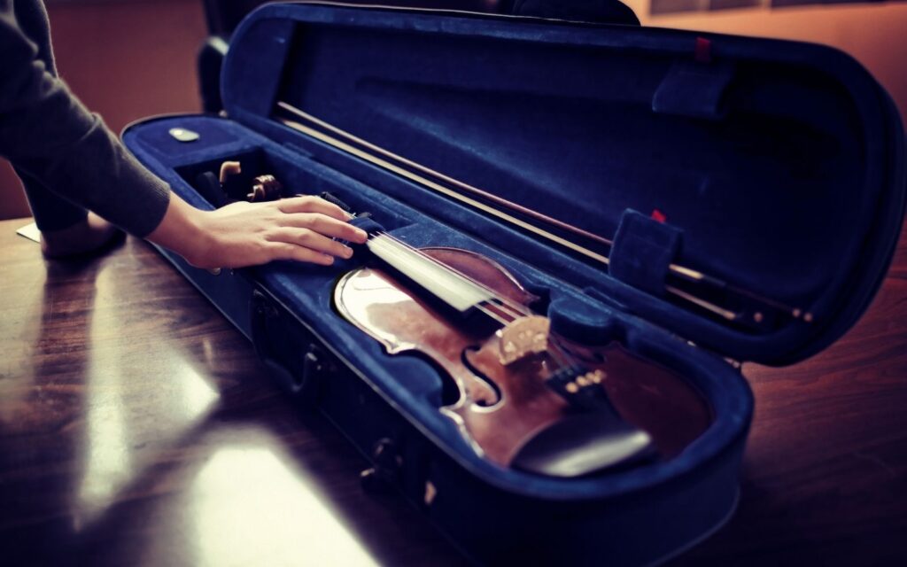 Best Violin Cases