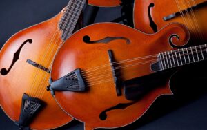 a musical instrument of mandolins