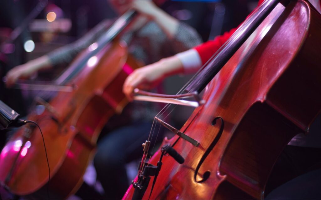 One of the 10 best beginner cellos