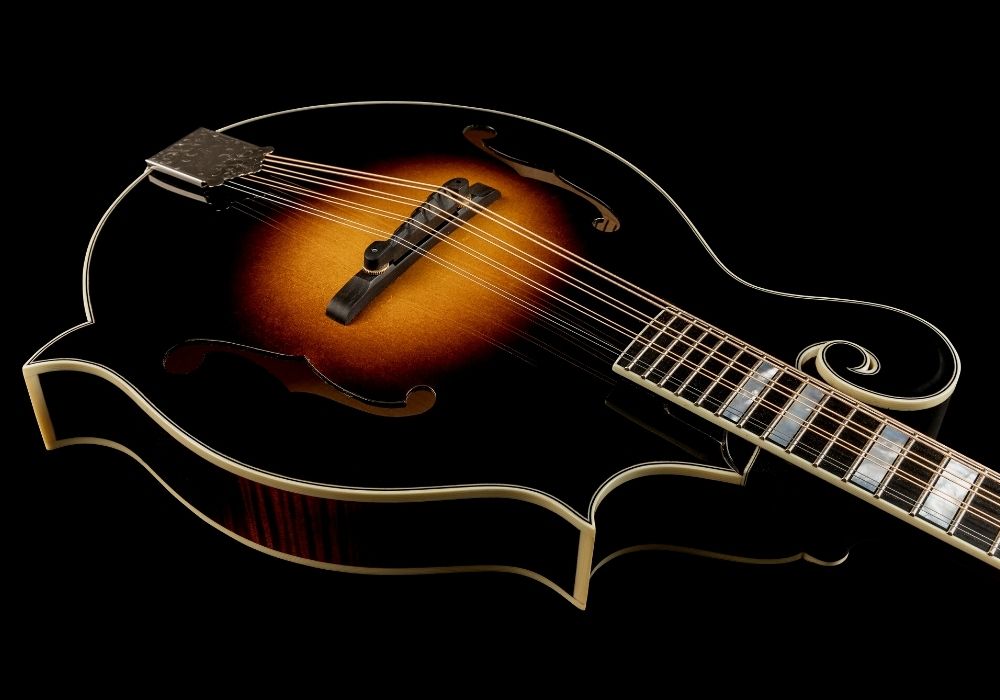 a close up of a mandolin under $500