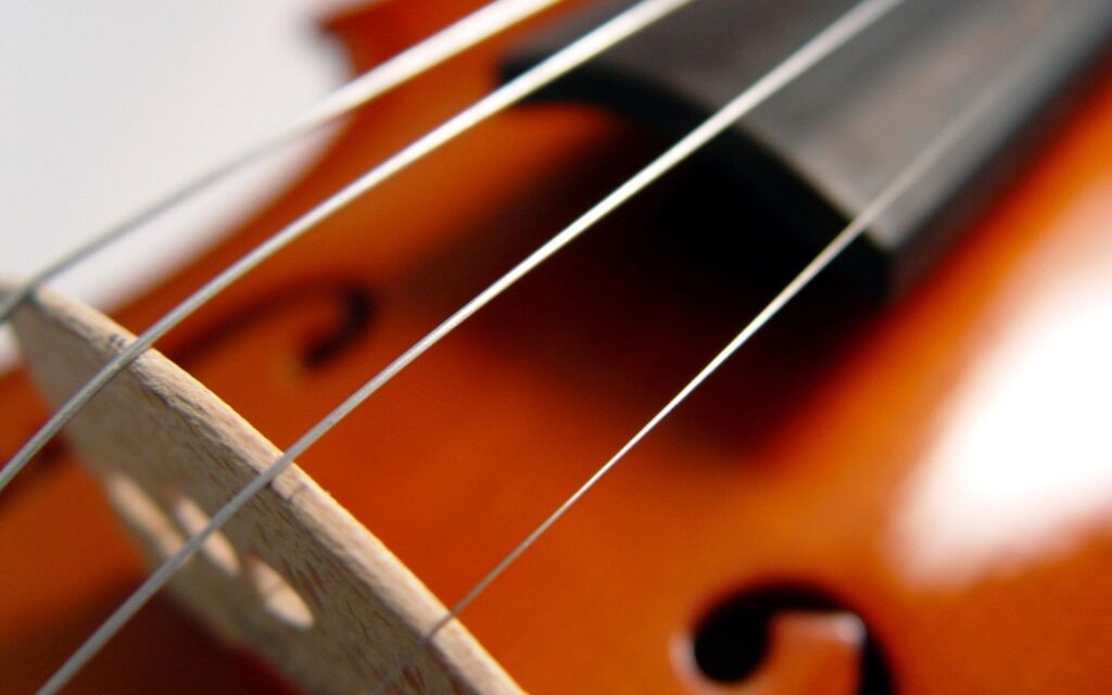 a close up of one of the best violin strings on the market today