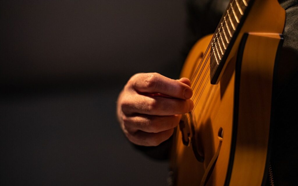 Perspective of an electric mandolin