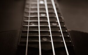 a close-up concert ukulele strings