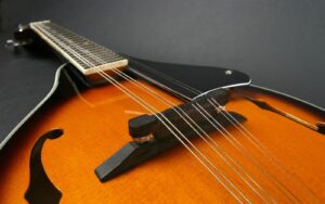 a close up of archtop mandolin