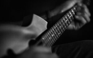 a close up of bluegrass mandolin