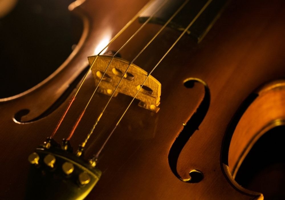 a close up viola instrument