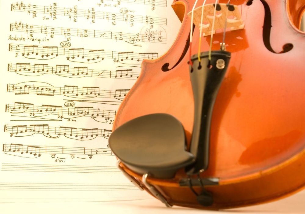 a close up viola on a viola book
