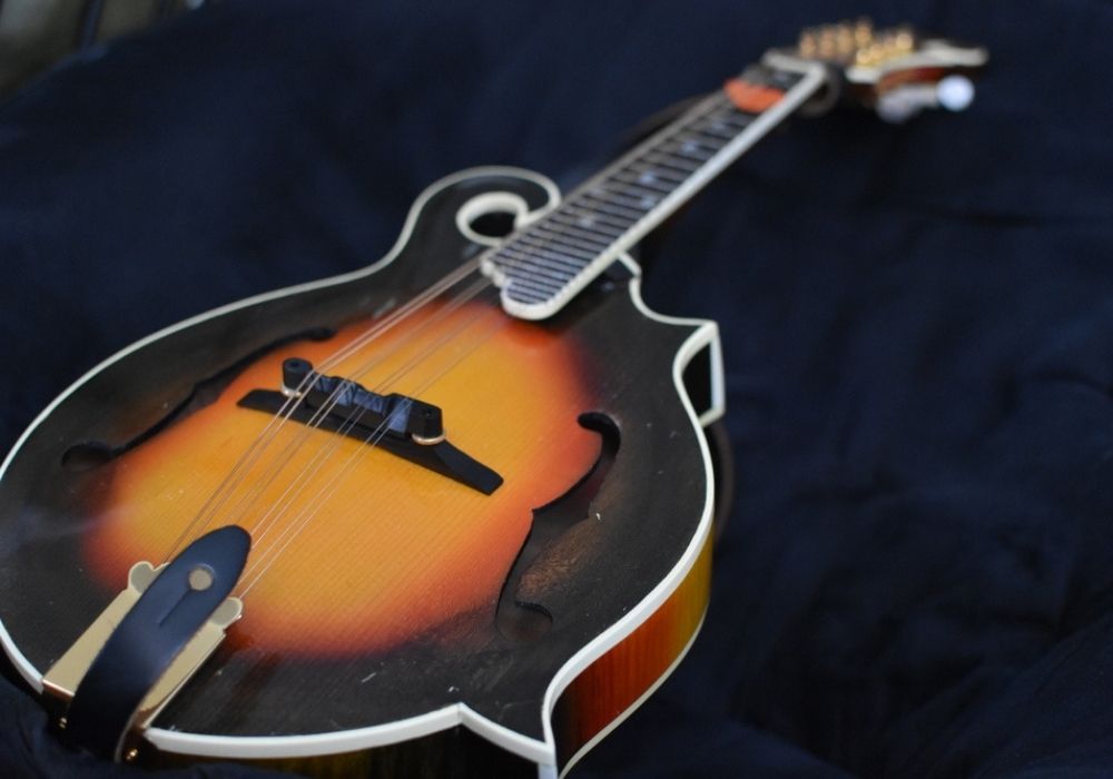 a perspective of an electric mandolin