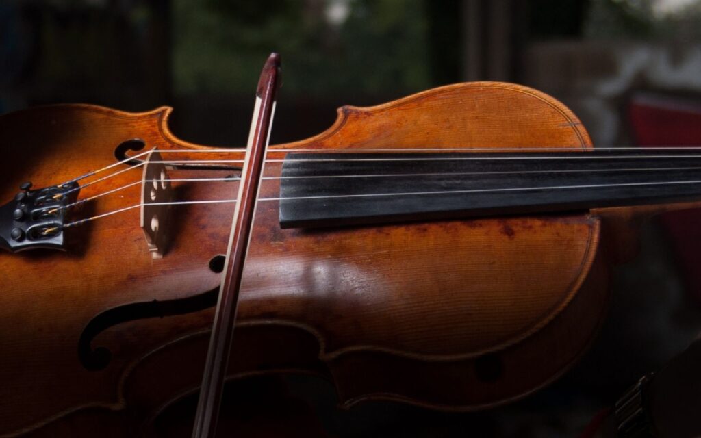 a viola played by a musician