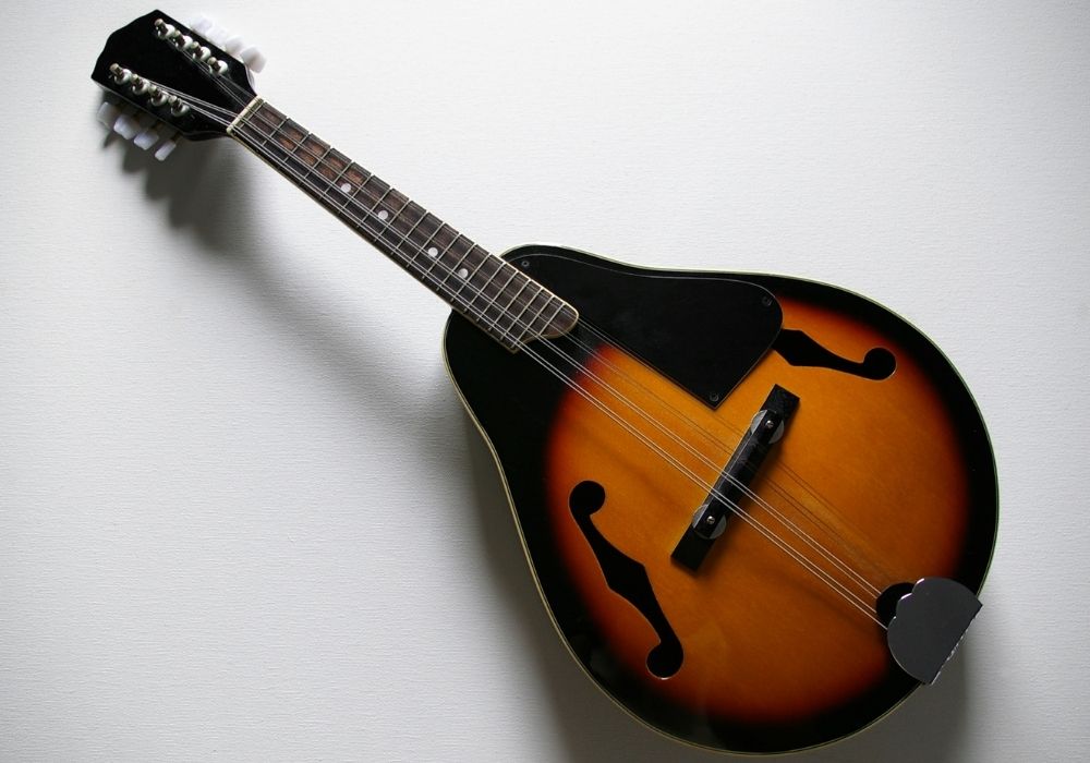 archtop mandolin