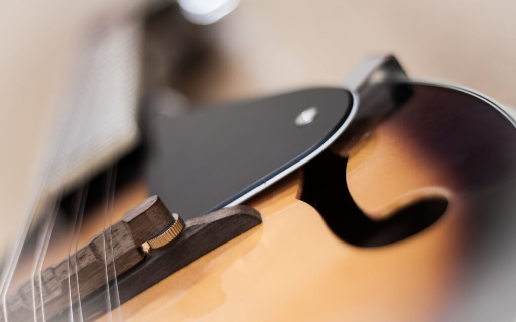 close up of A-Style mandolins