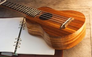 close up of one of the intermediate ukulele