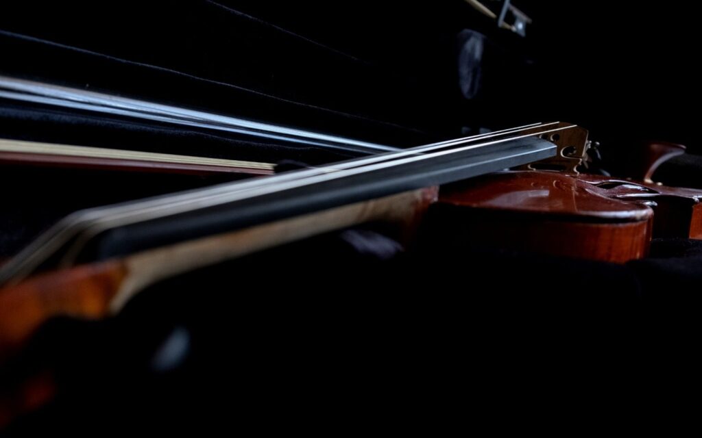 close up fiddlerman violin in violin case