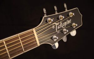 Best Takamine Acoustic Guitars
