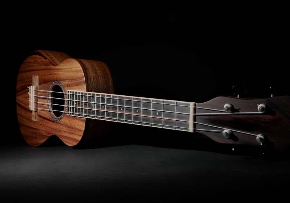 tenor ukulele aesthetics & build