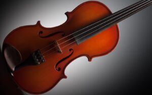 best stentor violins