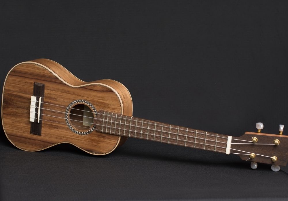 best soprano ukuleles brands for beginners