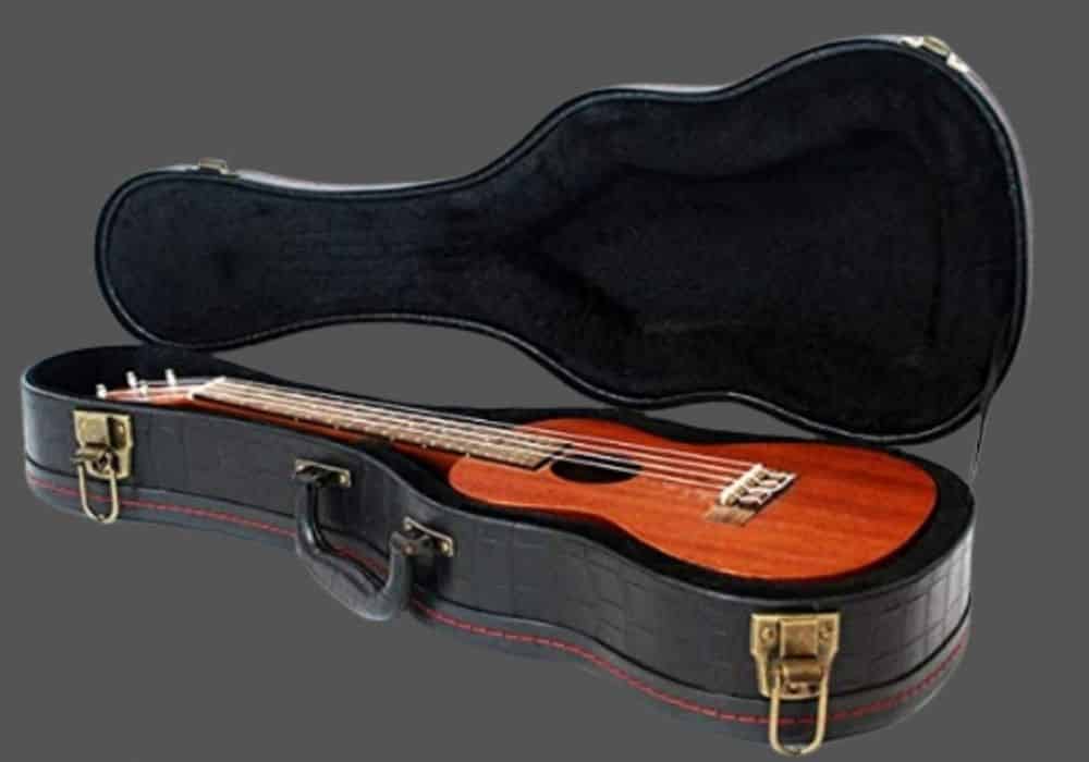 best ukulele case