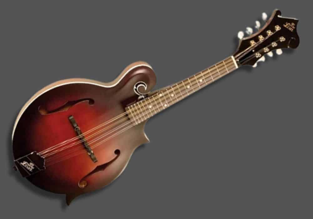 The Loar mandolin