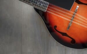 best The Loar mandolins