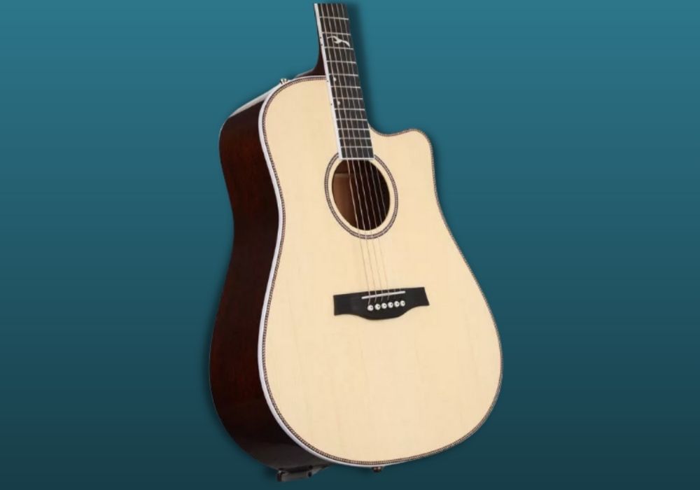 seagull acoustic guitar