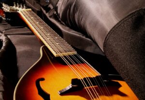 rogue RM-100A mandolin