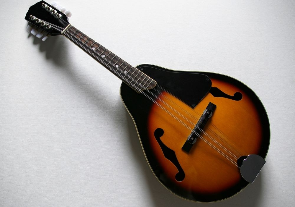 rogue RM-100A mandolin review