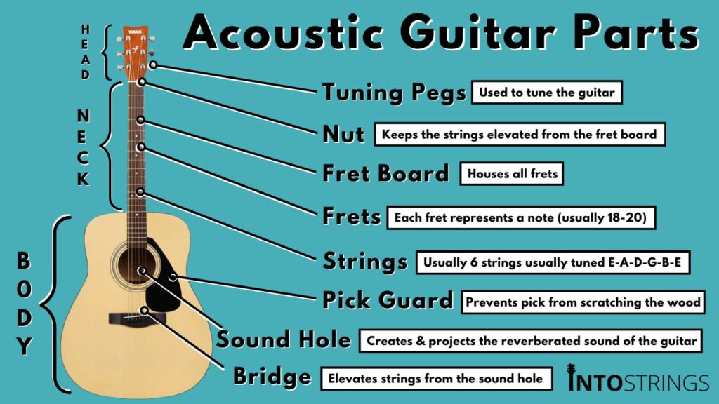 A custom diagram showing the different parts of an acoustic guitar