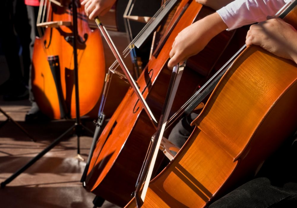 types of cellos