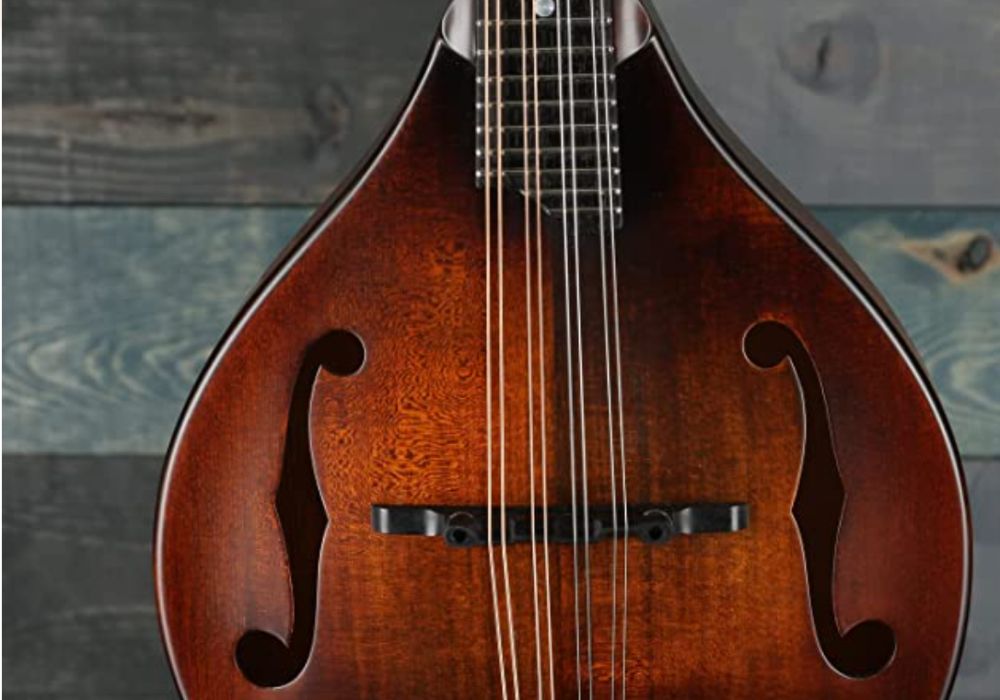 Eastman MD505 Mandolin Review
