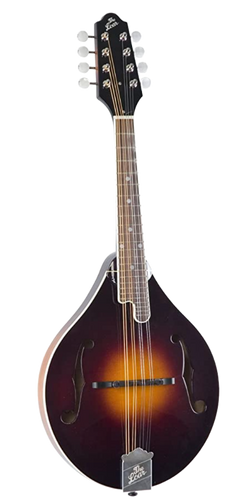 Loar LM 220 Mandolin with a white background.