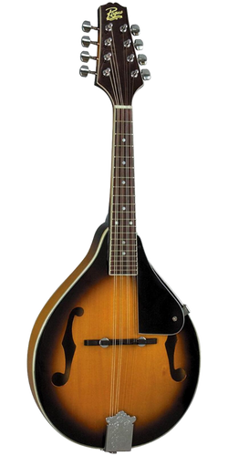 Rogue RM-100A mandolin with a white background.
