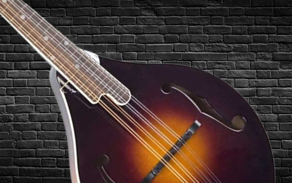 The Loar LM-220 Mandolin on a brick background.