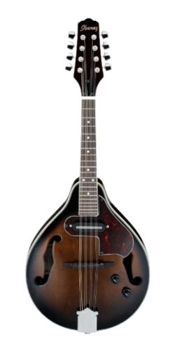 best ibanez mandolin with a white background