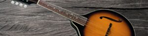 rover RM50 mandolin review