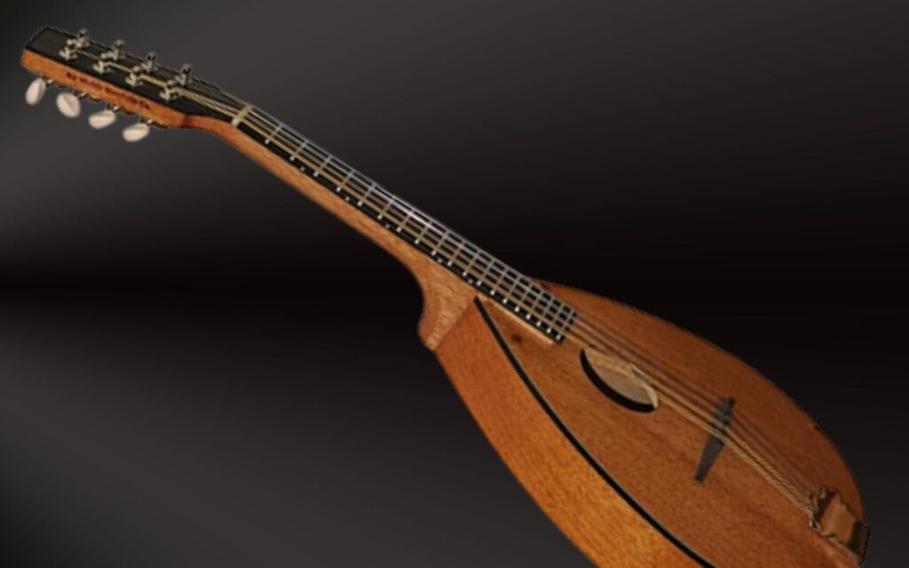 A closer look at the Big Muddy M-11 mandolin on a black background.