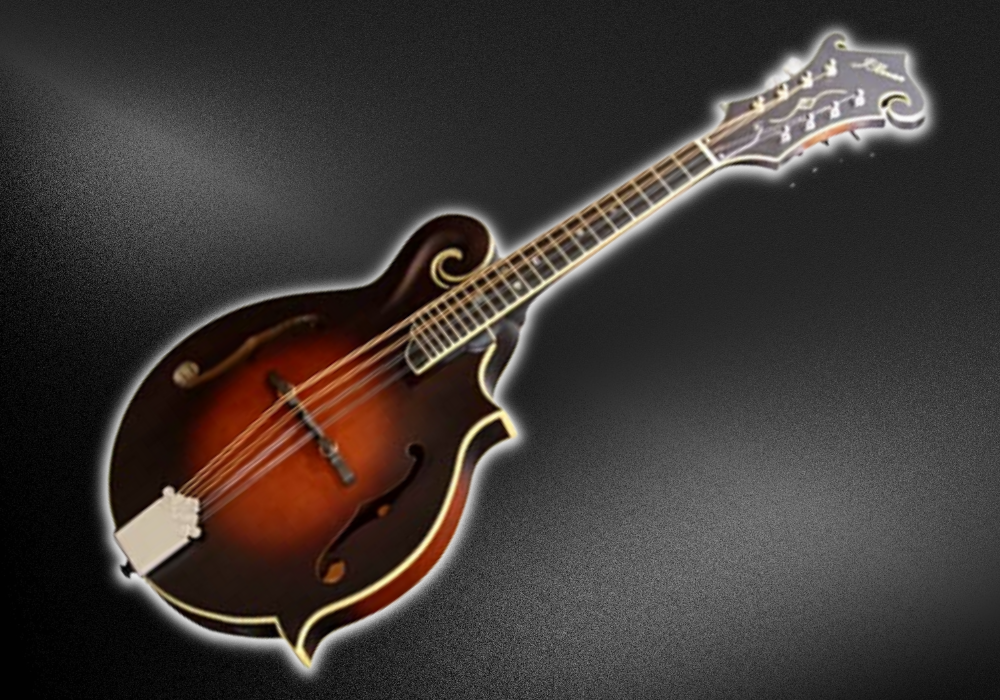 A closer look at the J Bovier F5-T mandolin with a white outline on a black background.