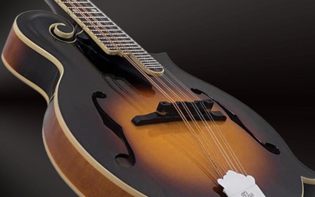 A closer look at The Loar LM-520-VS mandolin on a black background.