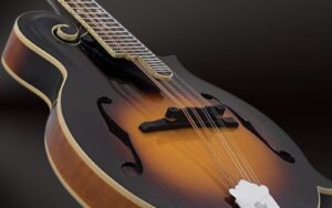 A closer look at The Loar LM-520-VS mandolin on a black background.