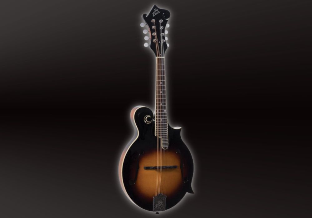 A closer look at The Loar LM-520-VS mandolin with a white outline on a black background.