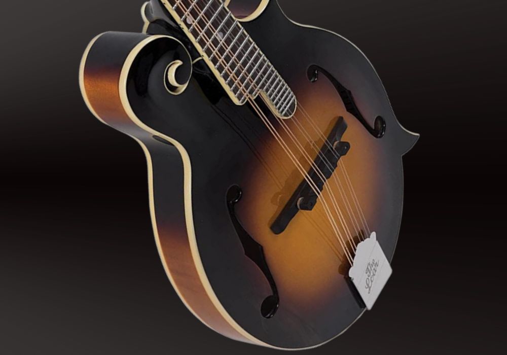 A close look at The Loar LM-520-VS mandolin on a black background.